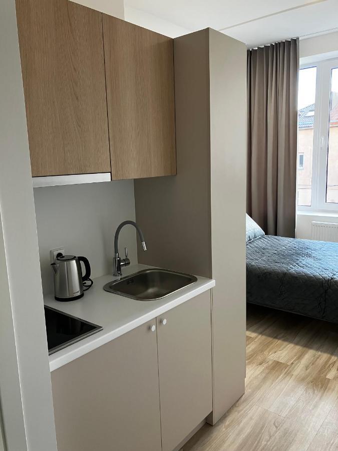 Ingos Laisves Al. Apartamentai كاوناس المظهر الخارجي الصورة