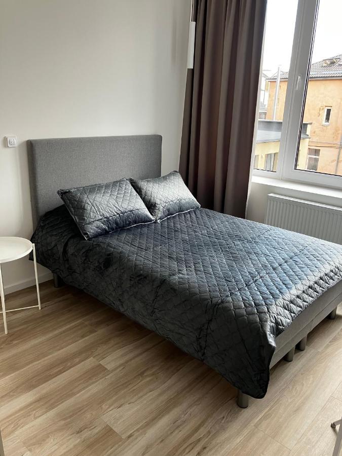 Ingos Laisves Al. Apartamentai كاوناس المظهر الخارجي الصورة