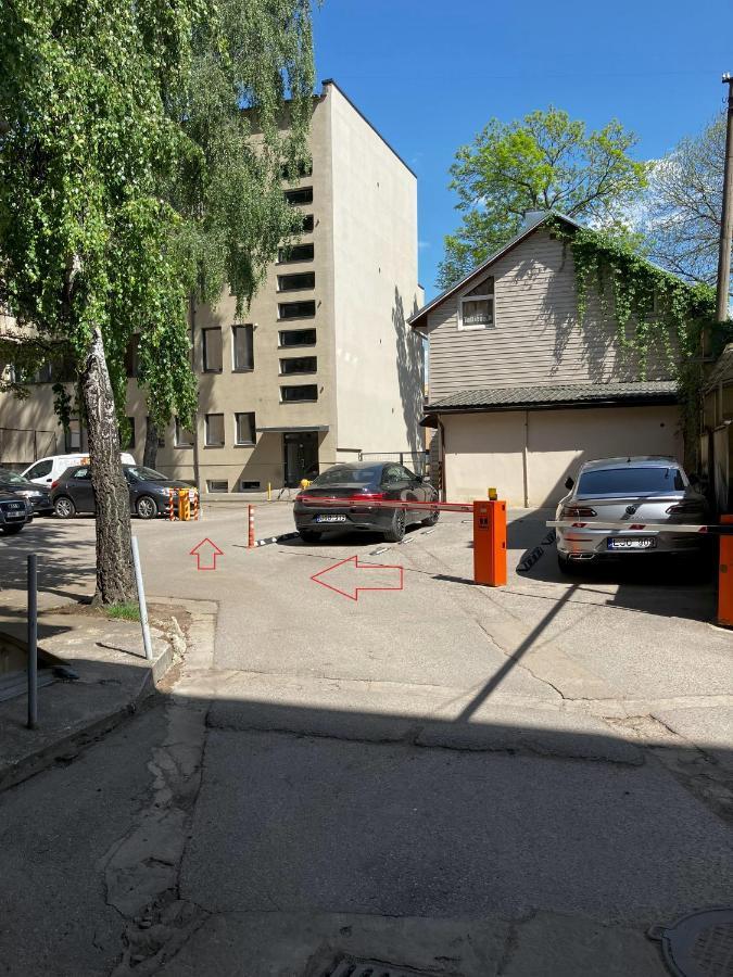Ingos Laisves Al. Apartamentai كاوناس المظهر الخارجي الصورة